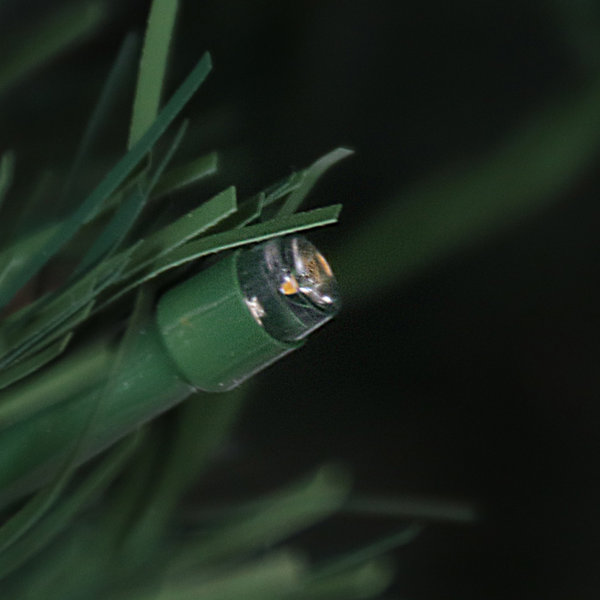 The Holiday Aisle® Green Most Realistic Spruce Flocked/Frosted